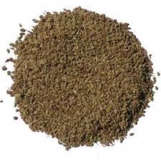 Havuç Tohumu Özellikleri ve Faydaları Nelerdir?