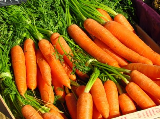 Havuç Vitamin Değerleri