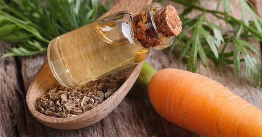 Havuç Yağı Özellikleri ve Faydaları Nelerdir?